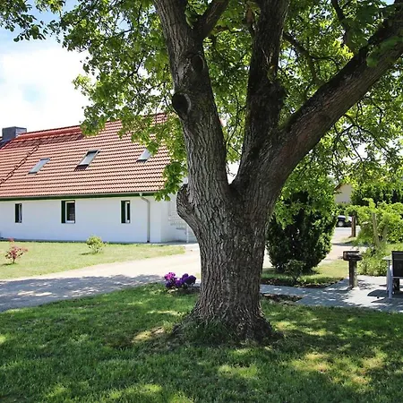 Holiday Flat Sonnenschein Funfseen - Dms02101g-p Satow